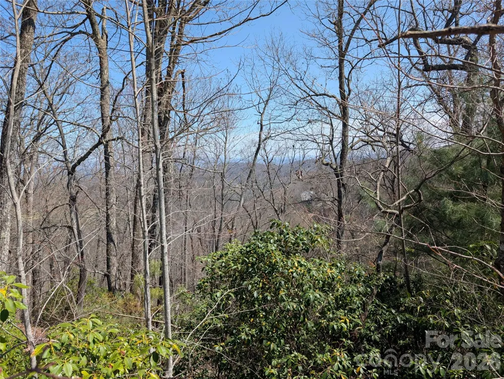 1094 Mills River Way Horse Shoe, NC 28742