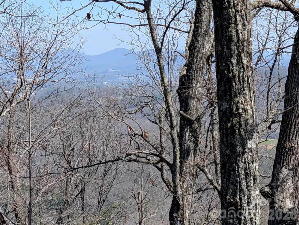 1094 Mills River Way Horse Shoe, NC 28742