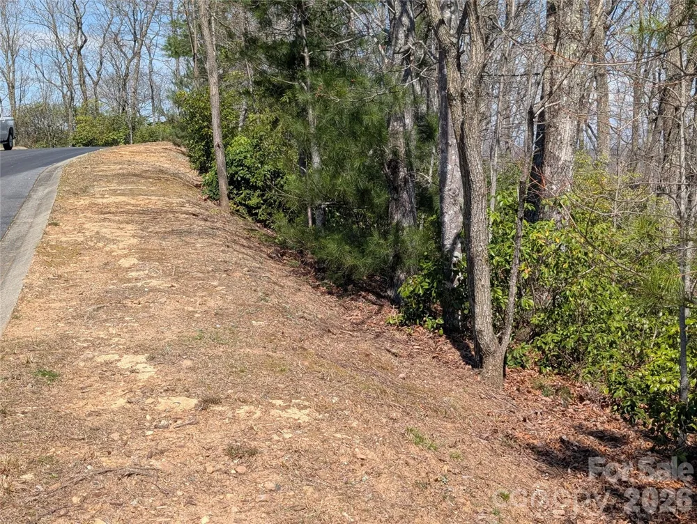1094 Mills River Way Horse Shoe, NC 28742
