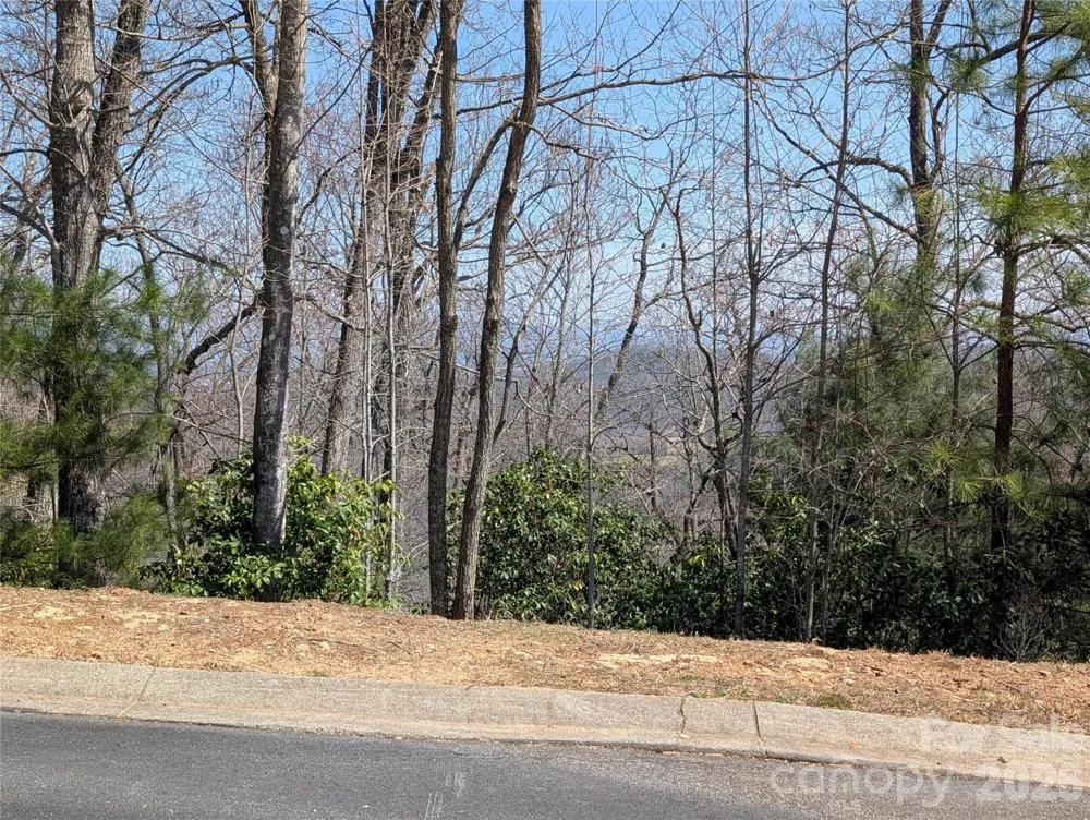 1094 Mills River Way Horse Shoe, NC 28742