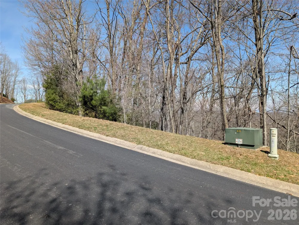 1094 Mills River Way Horse Shoe, NC 28742