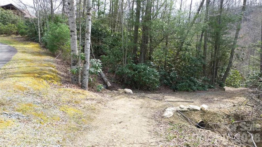 0000 Woodlake Loop Road Elk Park, NC 28622