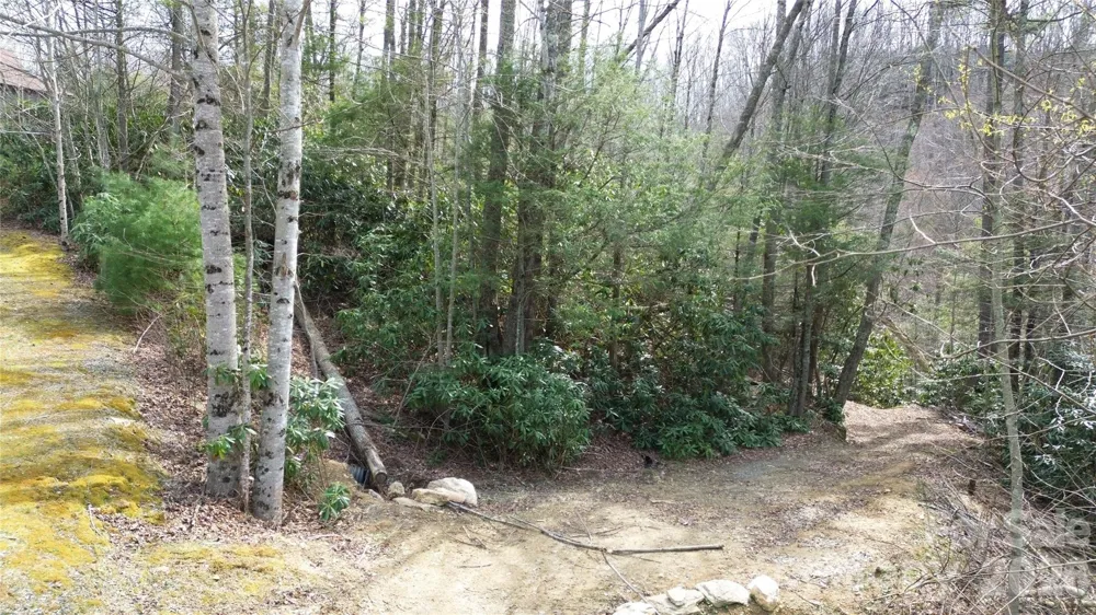 0000 Woodlake Loop Road Elk Park, NC 28622
