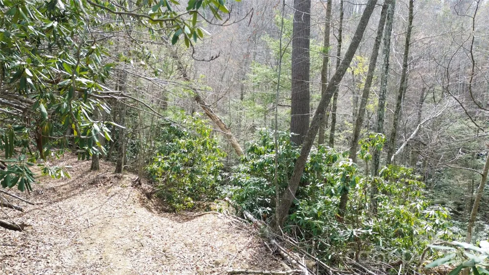 0000 Woodlake Loop Road Elk Park, NC 28622