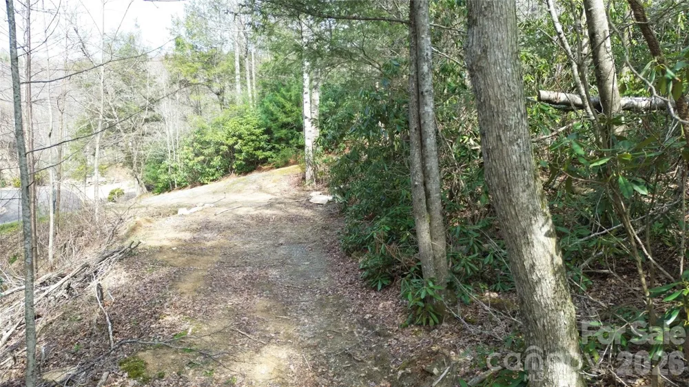 0000 Woodlake Loop Road Elk Park, NC 28622