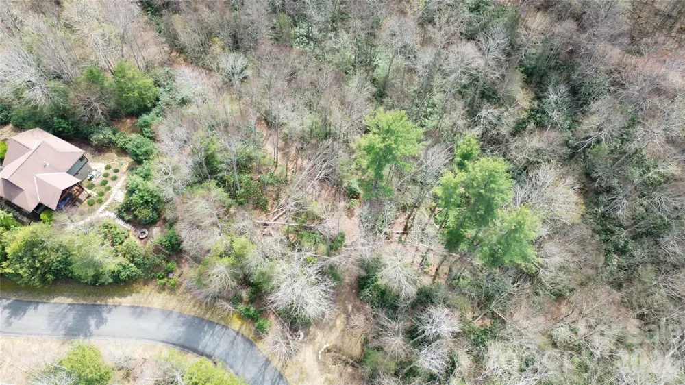 0000 Woodlake Loop Road Elk Park, NC 28622
