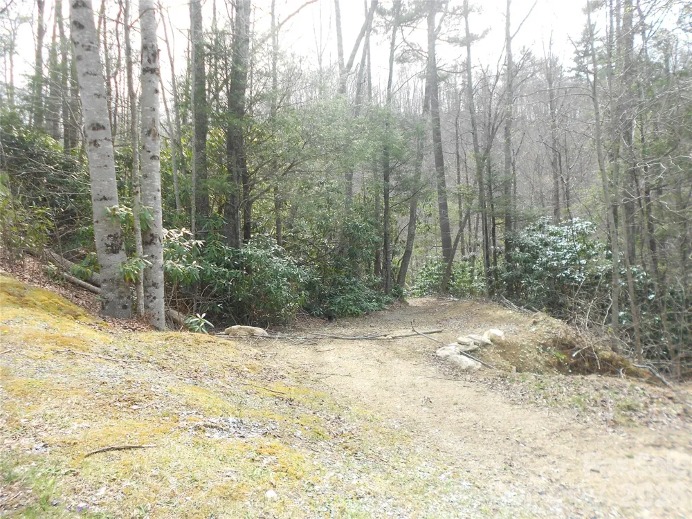 0000 Woodlake Loop Road Elk Park, NC 28622