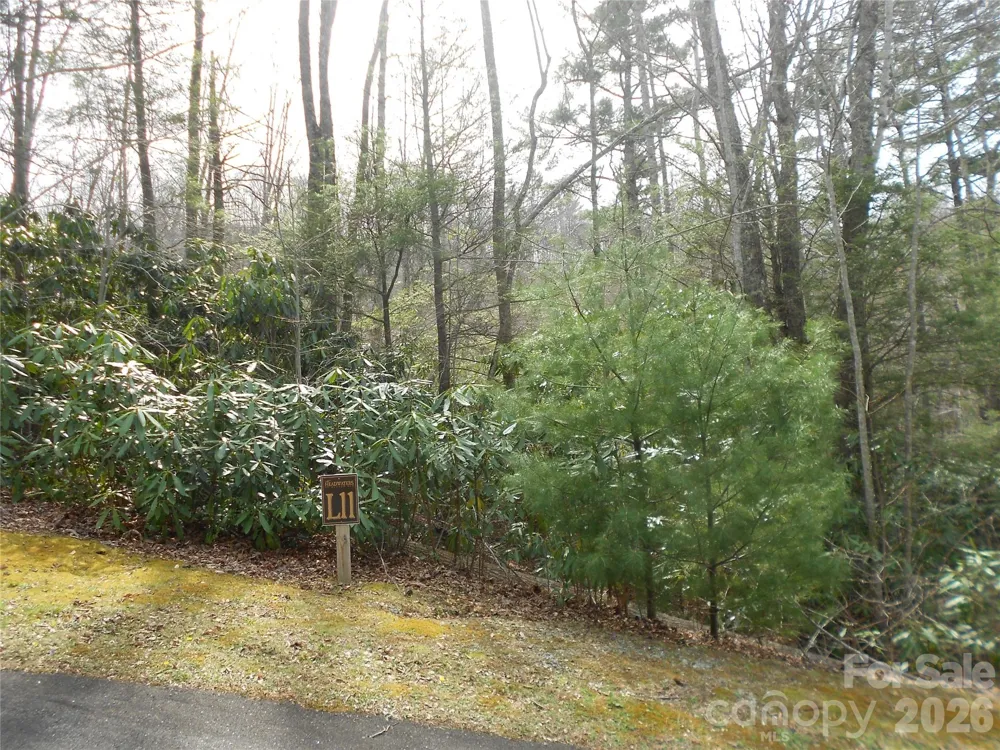 0000 Woodlake Loop Road Elk Park, NC 28622