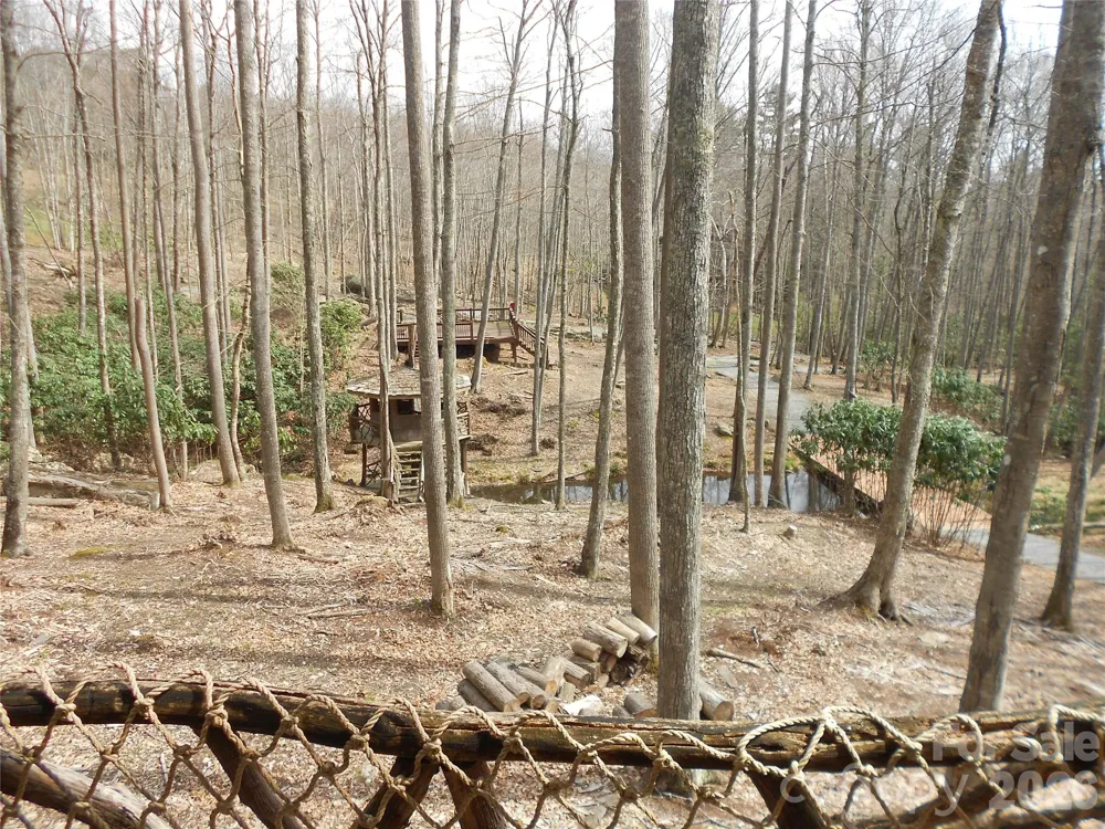 0000 Woodlake Loop Road Elk Park, NC 28622