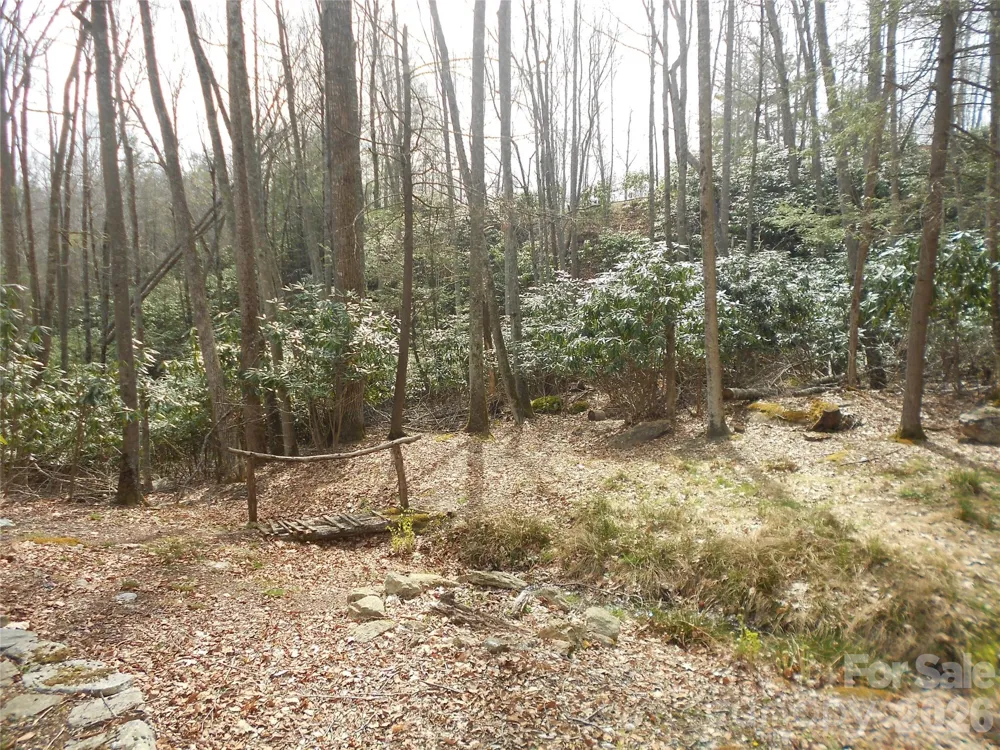 0000 Woodlake Loop Road Elk Park, NC 28622