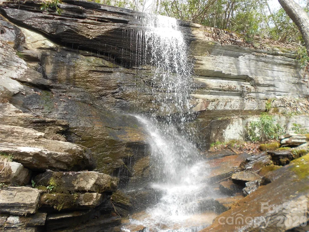 0000 Woodlake Loop Road Elk Park, NC 28622