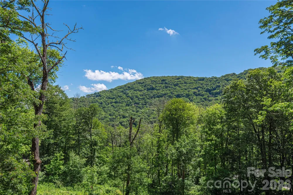 85 Iga Trail Maggie Valley, NC 28751