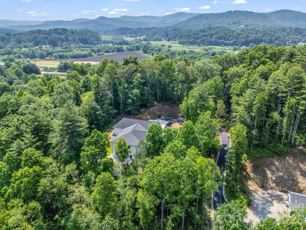 5717 Turnpike Road Horse Shoe, NC 28742