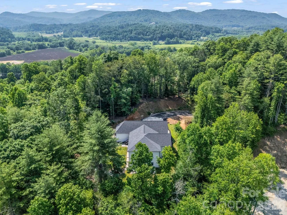 5717 Turnpike Road Horse Shoe, NC 28742