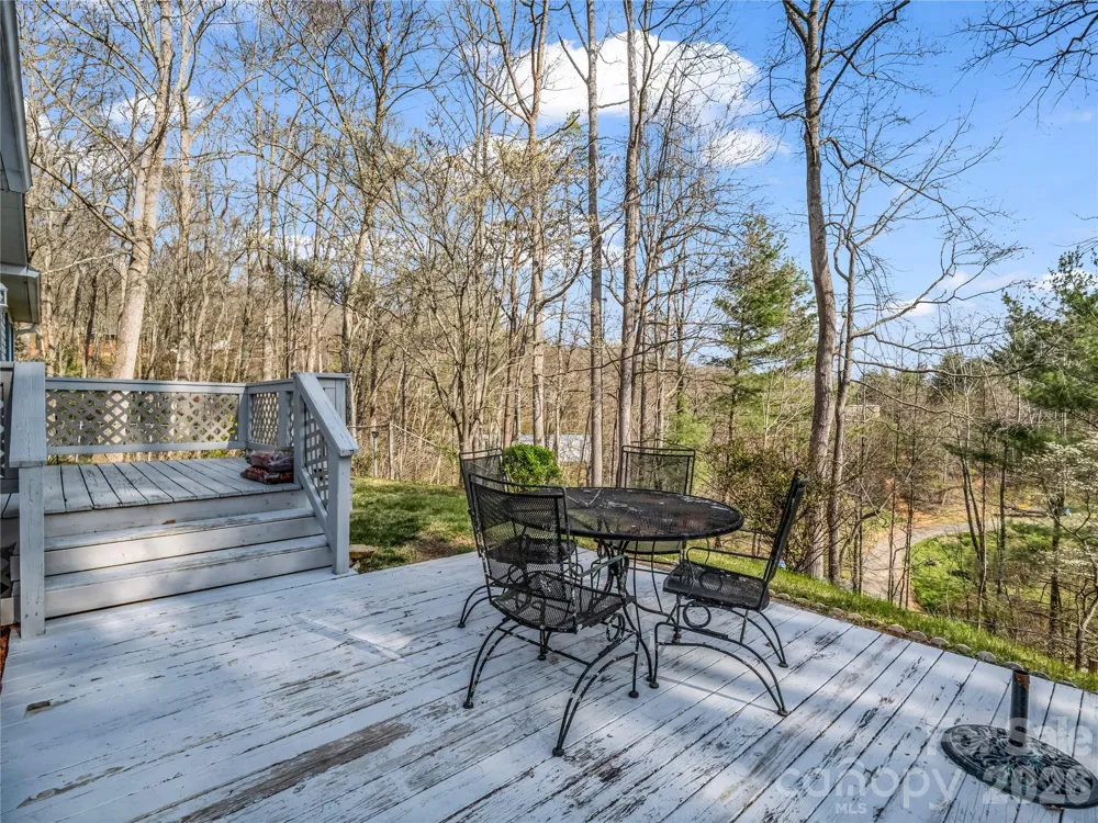 48 Laurel Cove Road Leicester, NC 28748