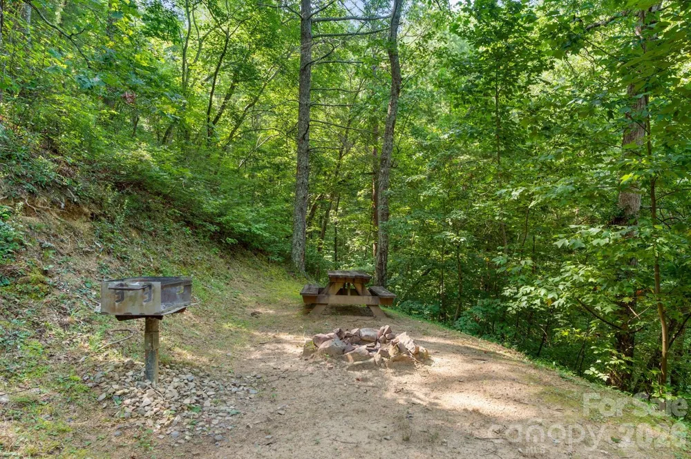 286 Rebel Drive Hot Springs, NC 28743