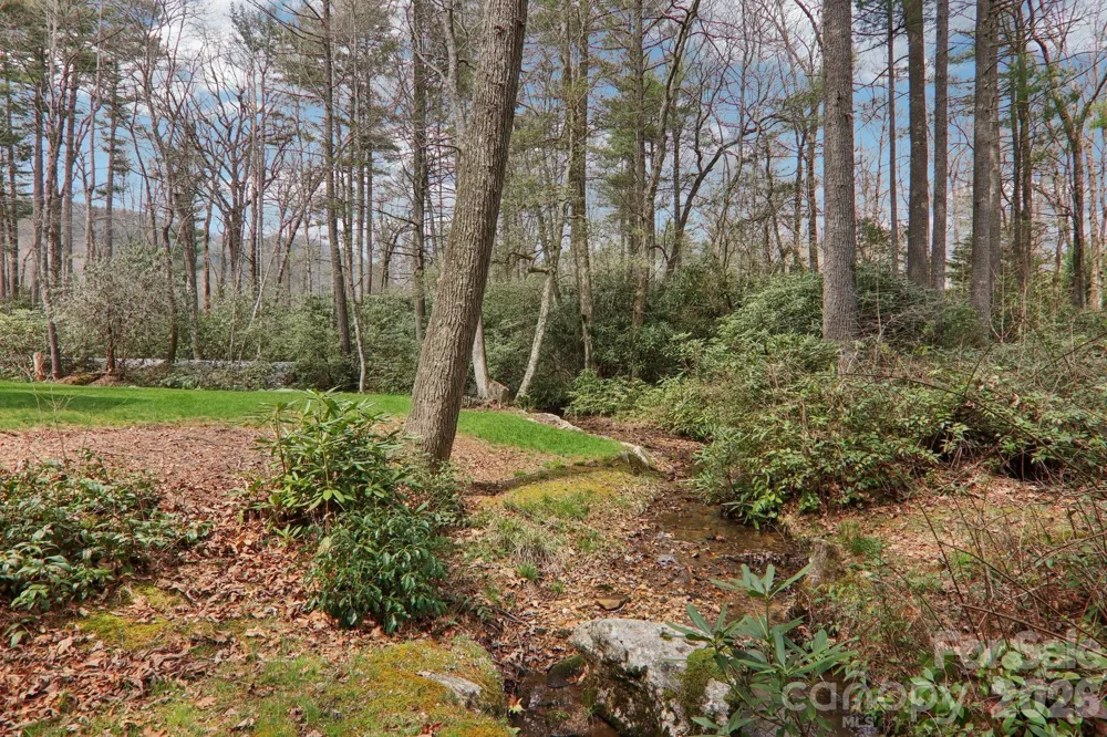 46 Mills Creek Drive Lake Toxaway, NC 28747