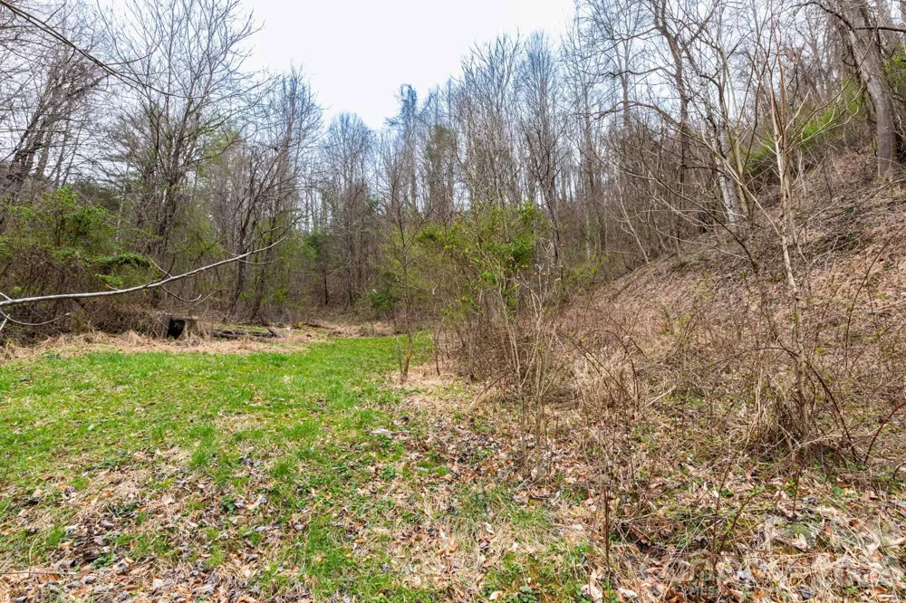 294 Ball Drive Marshall, NC 28753