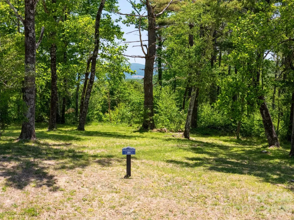 189 Dancing Bear Drive Hendersonville, NC 28792