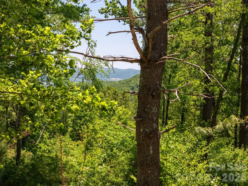 189 Dancing Bear Drive Hendersonville, NC 28792