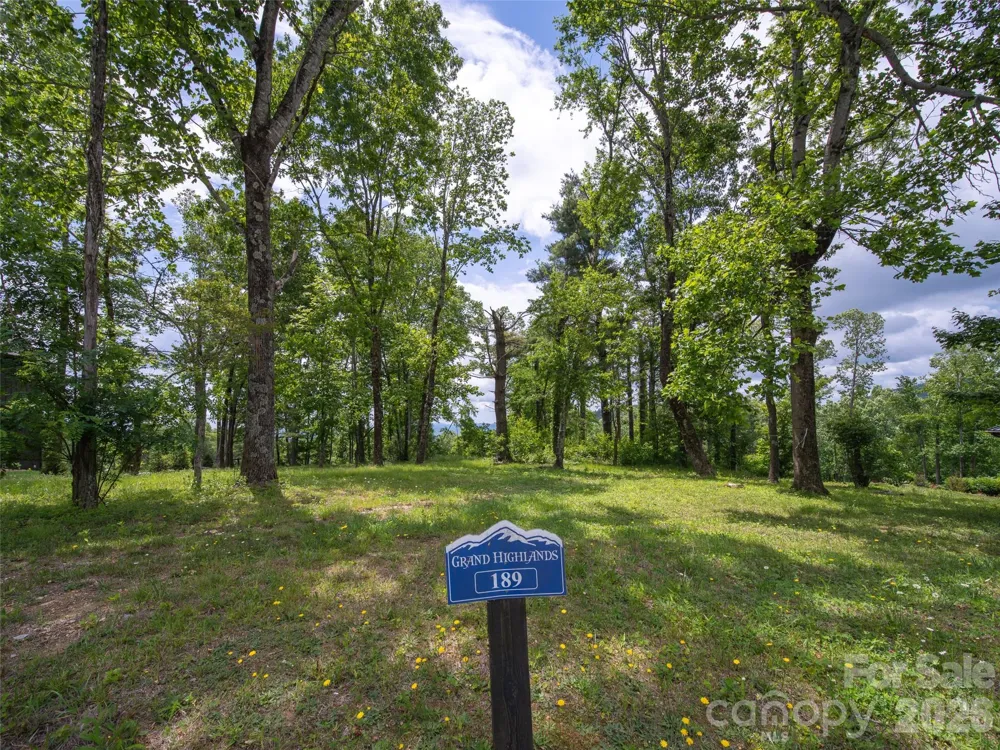 189 Dancing Bear Drive Hendersonville, NC 28792