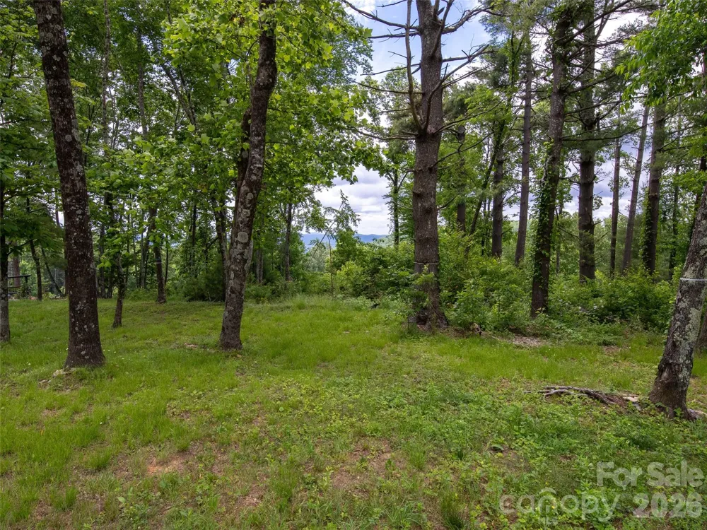 189 Dancing Bear Drive Hendersonville, NC 28792