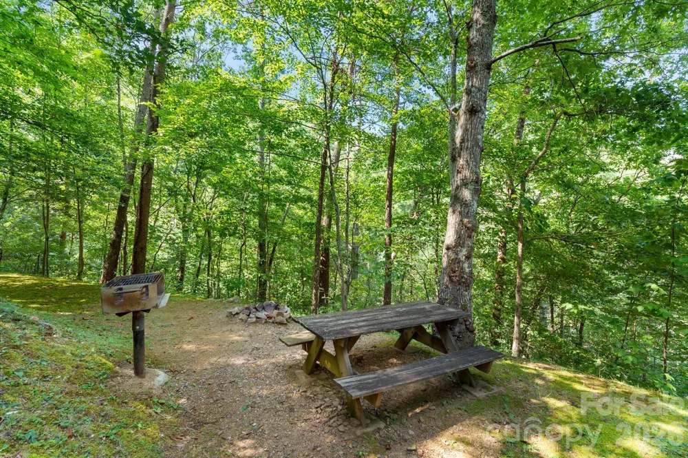 264 Rebel Drive Hot Springs, NC 28743