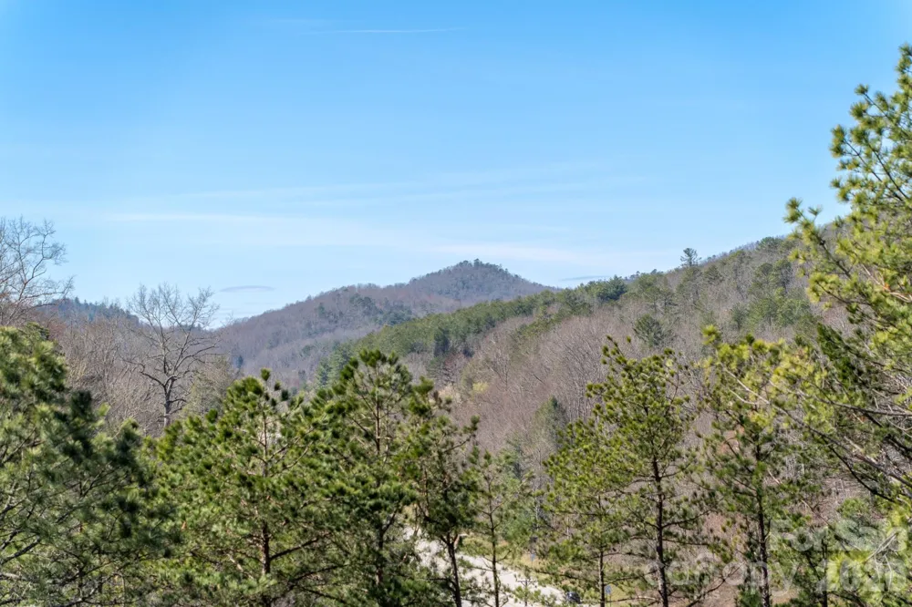 74 Jeranna Road Mills River, NC 28759