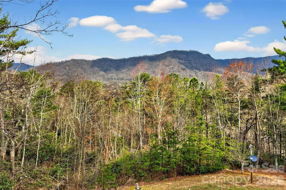 182 Baby Fox Drive Marion, NC 28752