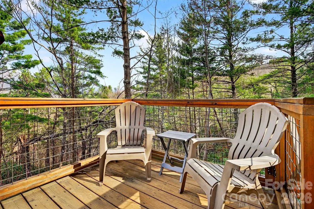 182 Baby Fox Drive Marion, NC 28752