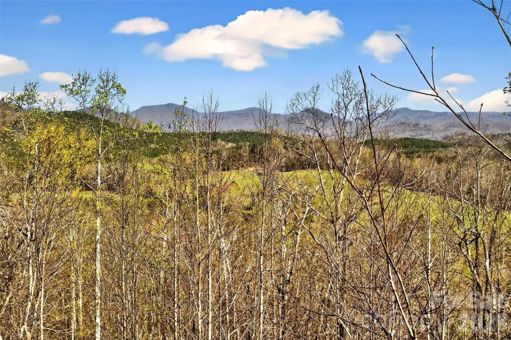 398 Waterfall Drive Marion, NC 28752