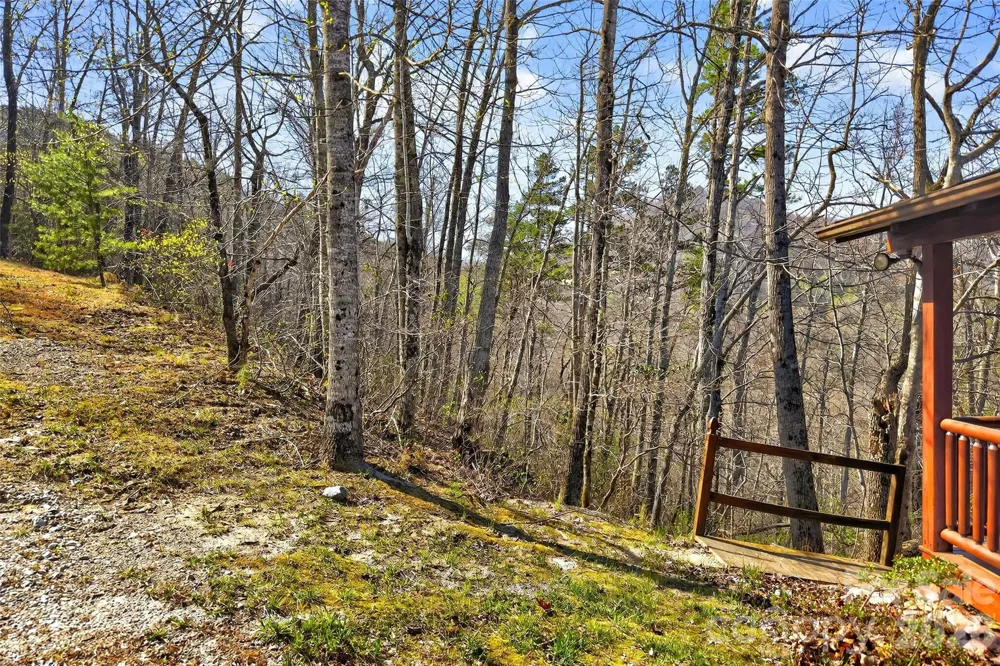 398 Waterfall Drive Marion, NC 28752