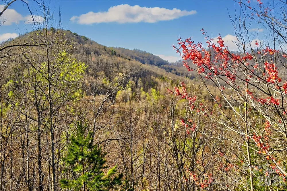 398 Waterfall Drive Marion, NC 28752