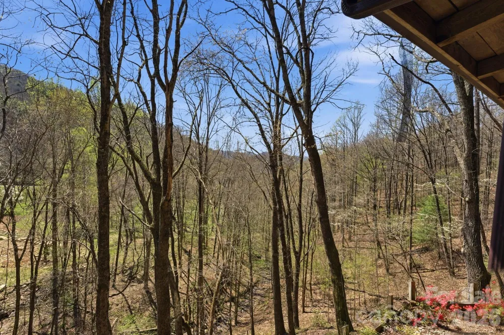 1837 E Alarka Road Bryson City, NC 28713