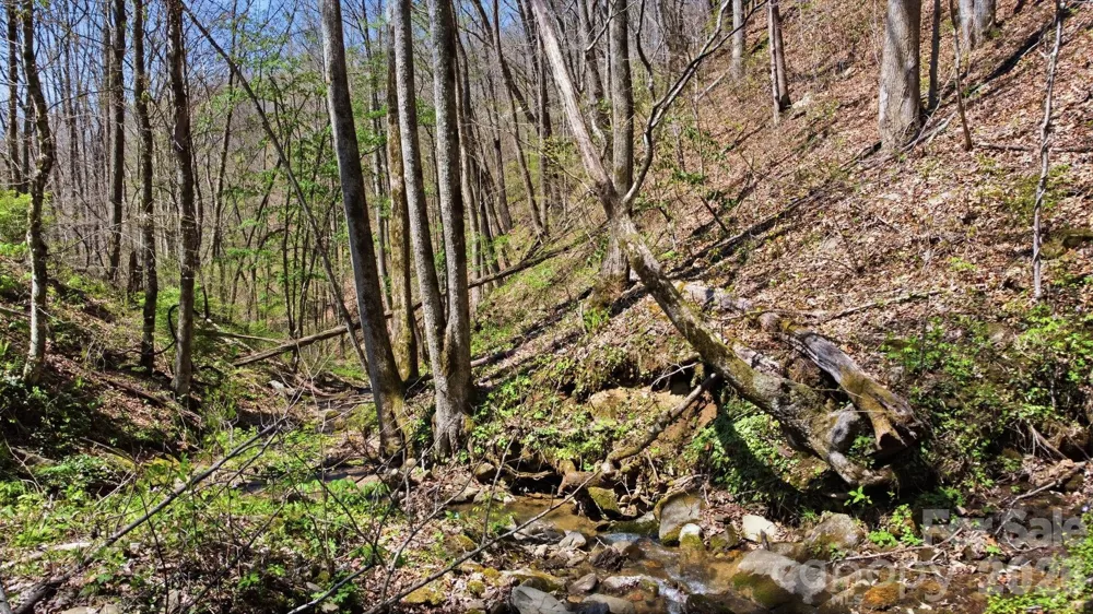 1837 E Alarka Road Bryson City, NC 28713