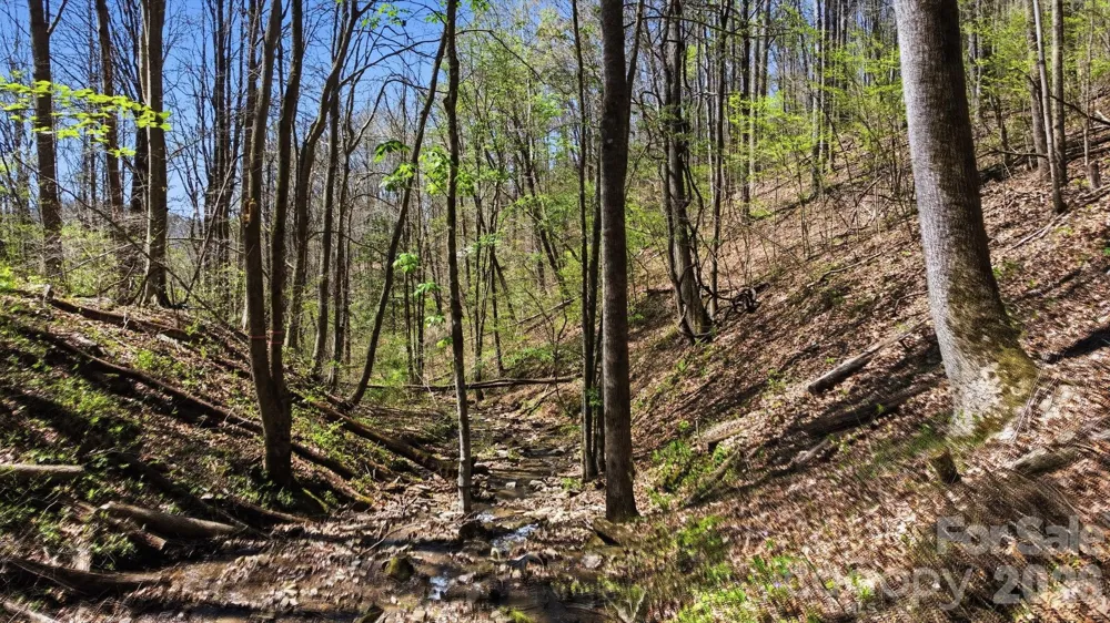 1837 E Alarka Road Bryson City, NC 28713