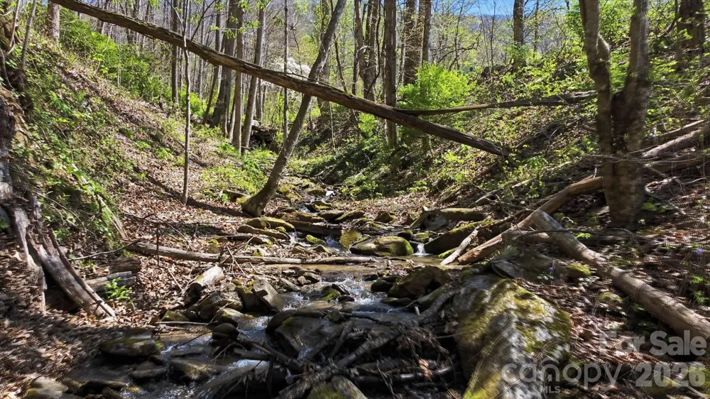 1837 E Alarka Road Bryson City, NC 28713