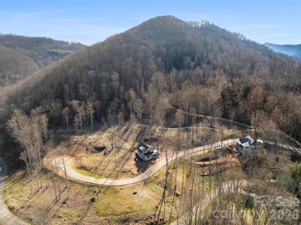 100 Bear Tree Cove Canton, NC 28716