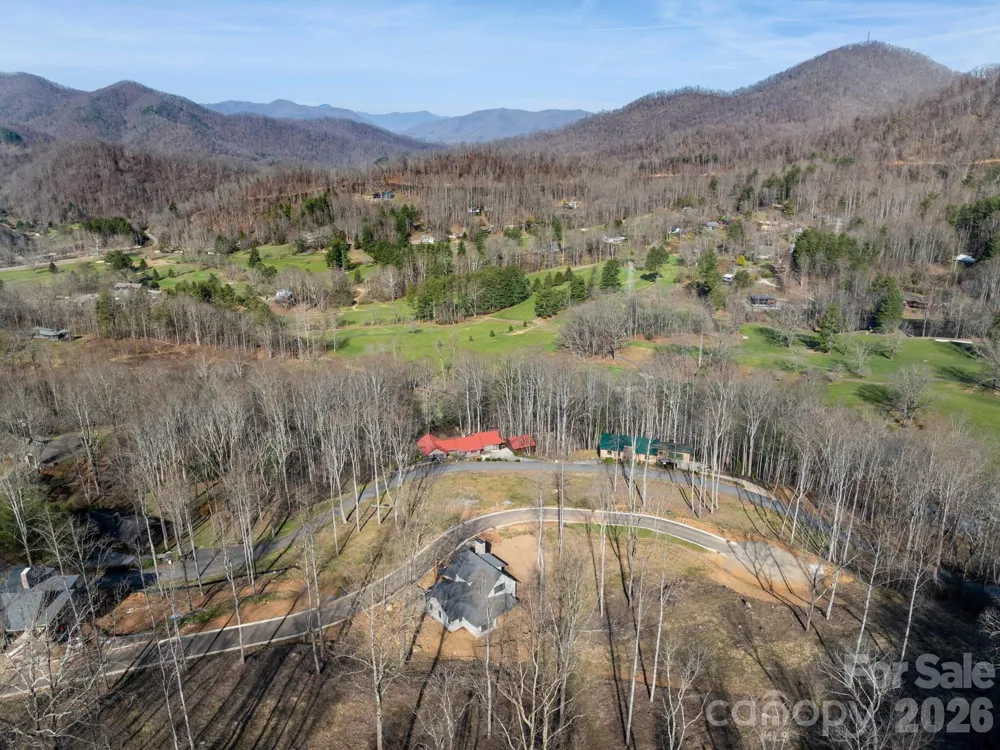 100 Bear Tree Cove Canton, NC 28716