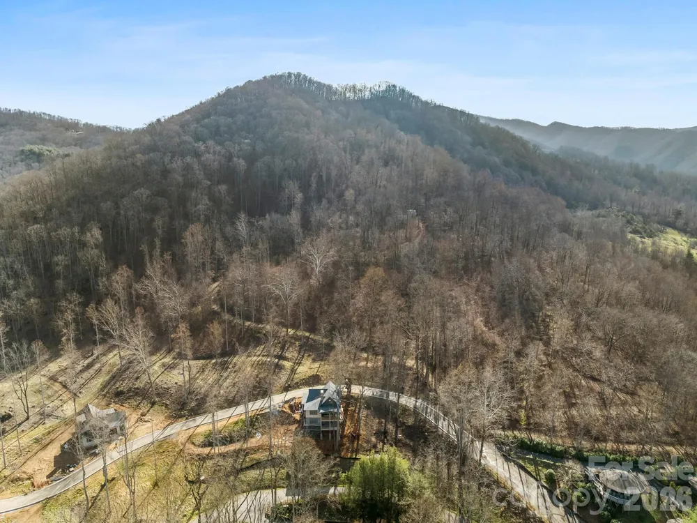 51 Bear Tree Cove Canton, NC 28716