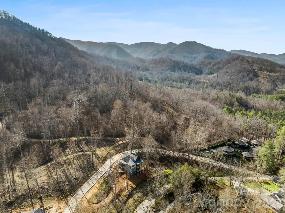 51 Bear Tree Cove Canton, NC 28716