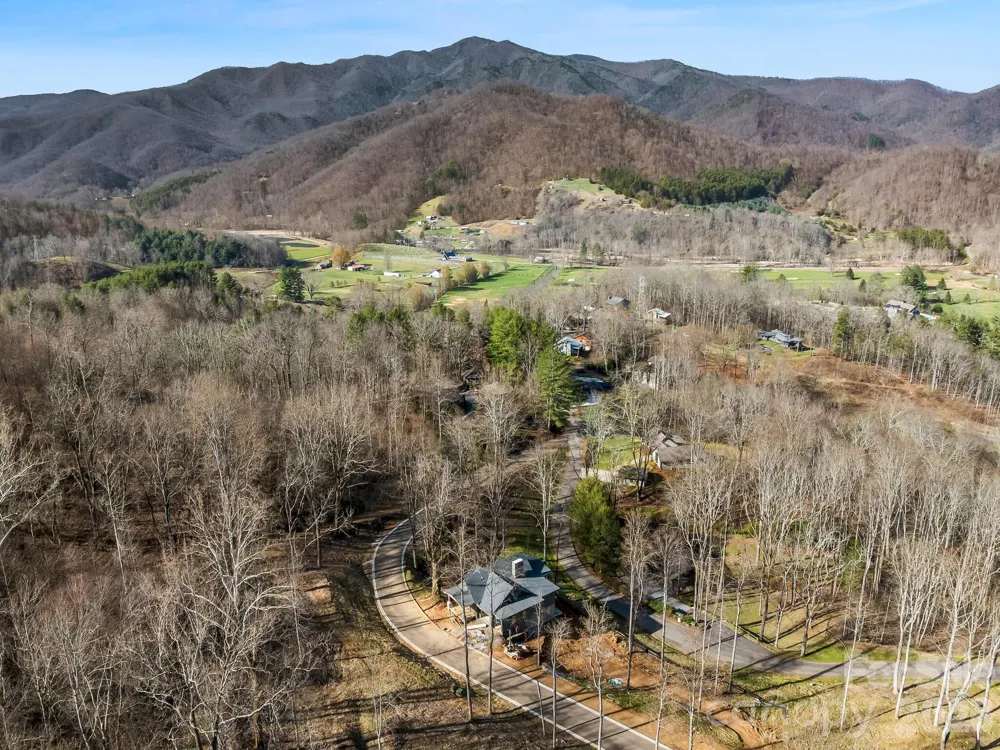 51 Bear Tree Cove Canton, NC 28716