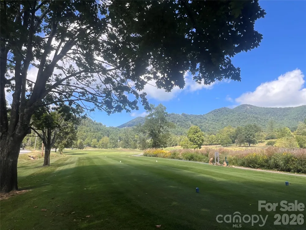 51 Bear Tree Cove Canton, NC 28716