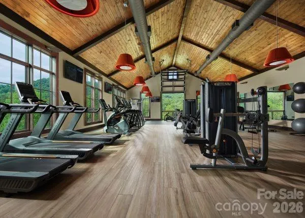 51 Bear Tree Cove Canton, NC 28716