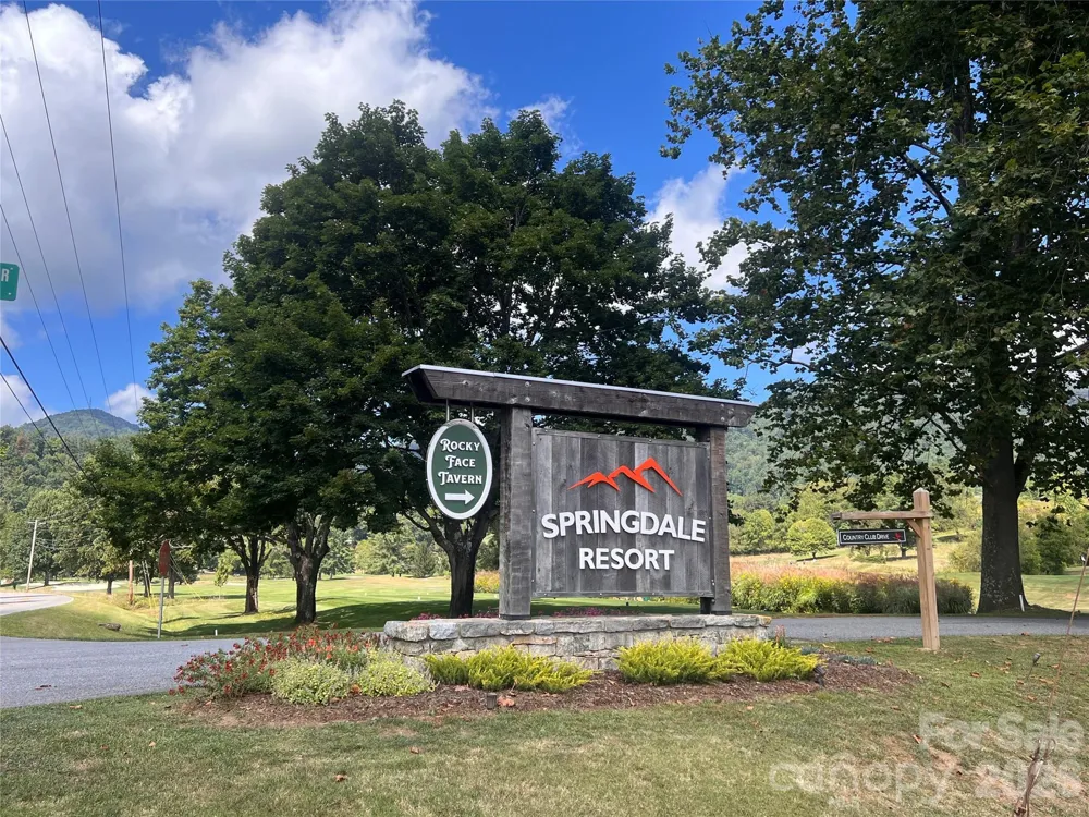 51 Bear Tree Cove Canton, NC 28716