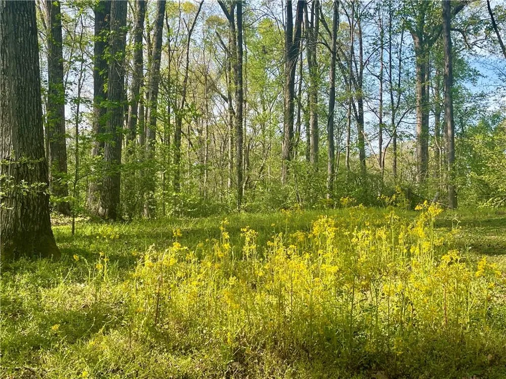 12005A Hutcheson Ferry Road Palmetto, GA 30268