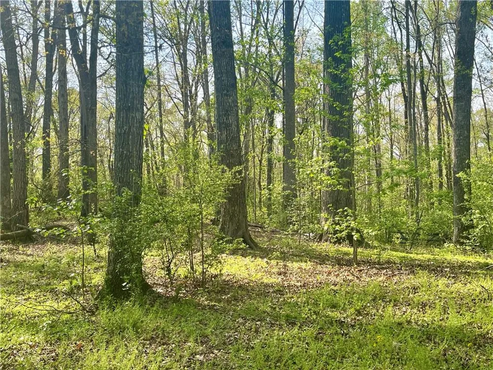 12005A Hutcheson Ferry Road Palmetto, GA 30268
