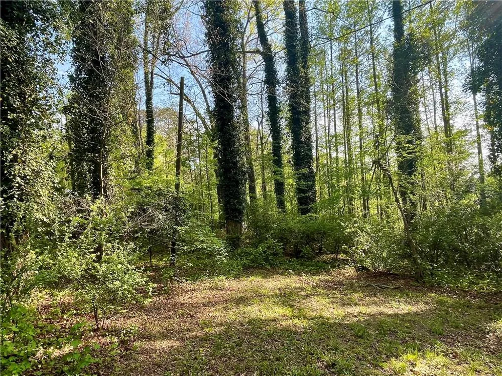 12005A Hutcheson Ferry Road Palmetto, GA 30268