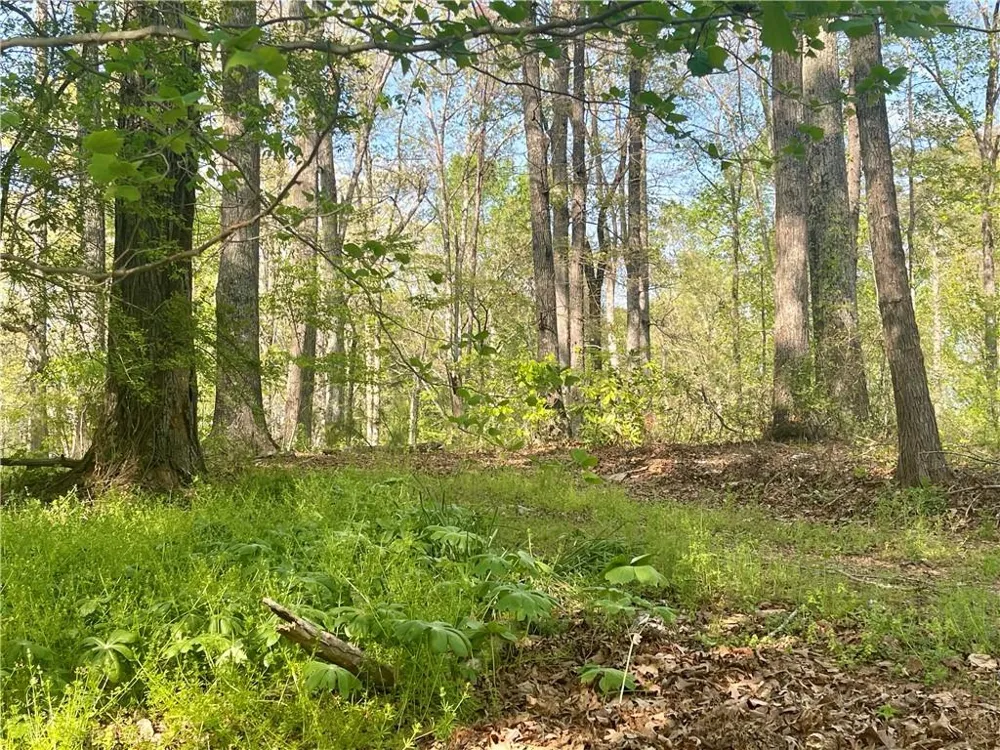 12005A Hutcheson Ferry Road Palmetto, GA 30268