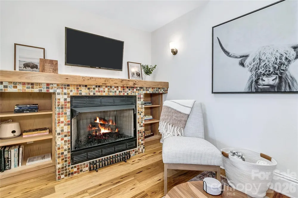 35 Patton Avenue #202 Asheville, NC 28801